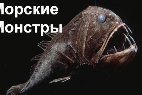 Сайт тор кракен