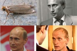 Кракен новый сайт